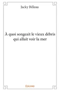 A quoi songeait le vieux debris qui allait voir la mer
