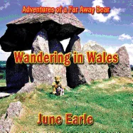 Adventures of a Far Away Bear: Book 4 - Wandering in Wales — Action Comics