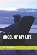 Angel of My Life — Graphic Novels