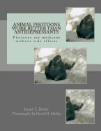 Animal Photoons Work Better Than Antidepressants: Photoons are medicine without side effects