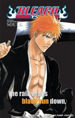 Bleach: Souls. Official Character Book [With Stickers] — Manga