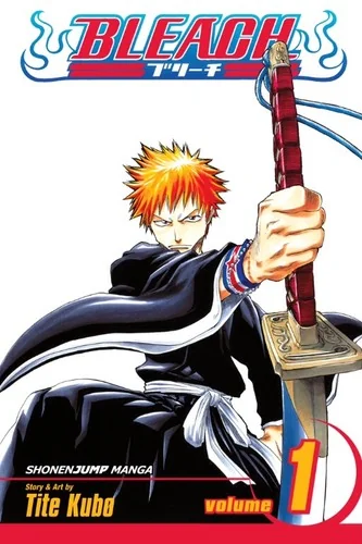 Bleach, Vol. 1 — Manga