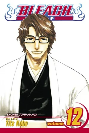 Bleach, Vol. 12 — Manga