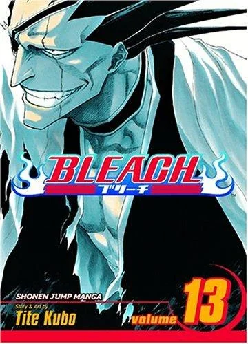Bleach, Vol. 13 — Manga