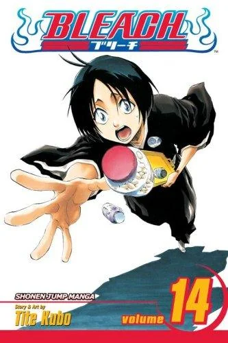 Bleach, Vol. 14 — Manga