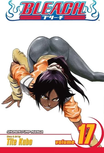 Bleach, Vol. 17 — Manga