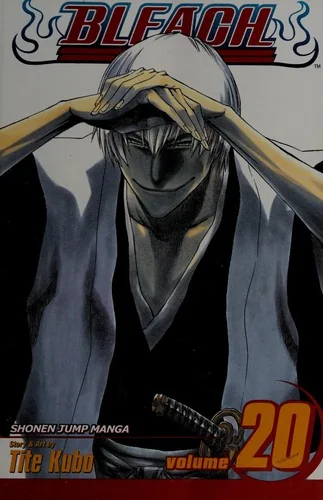 Bleach, Vol. 20 — Manga
