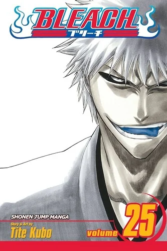 Bleach, Vol. 25 — Manga