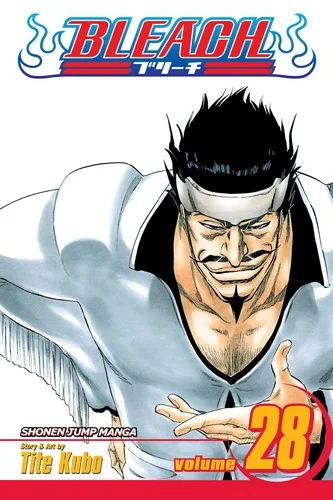 Bleach, Vol. 28 — Manga