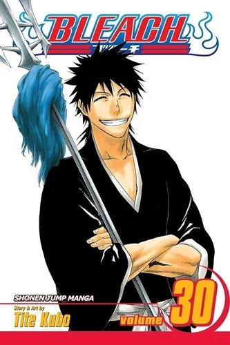 Bleach, Vol. 30 — Manga