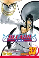 Bleach, Vol. 33 — Manga