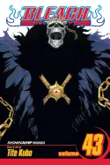 Bleach, Vol. 43 — Manga