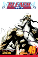 Bleach, Vol. 45 — Manga