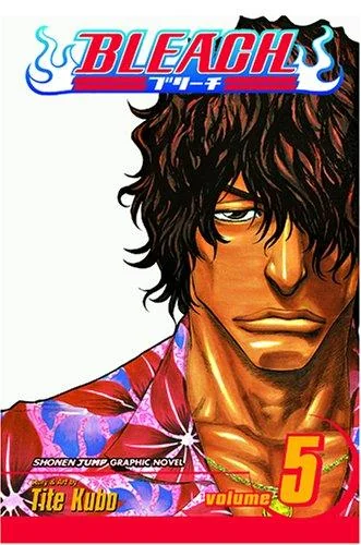 Bleach, Vol. 5