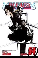 Bleach, Vol. 54 — Manga