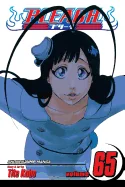 Bleach, Vol. 65 — Manga