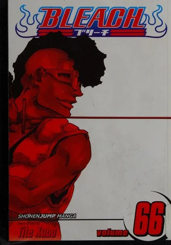 Bleach, Vol. 66 — Manga