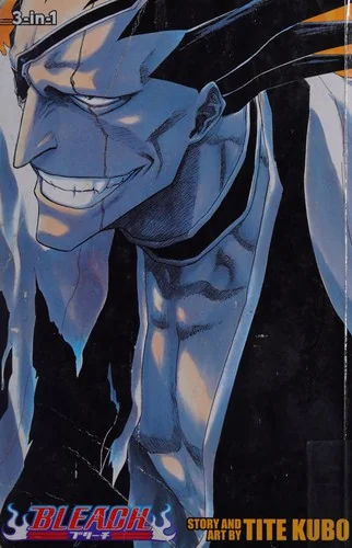 Bleach, Volumes 13-15