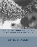 Bristol and Brillo's Amazing Adventure