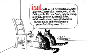 Cat — Graphic Novels