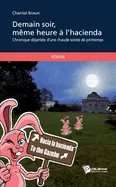 Demain soir meme heure a l'Hacienda: Chronique dejantee d'une chaude soiree de printemps