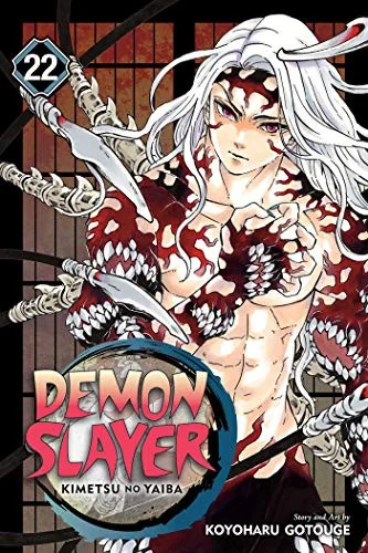 Demon Slayer: Kimetsu No Yaiba, Vol. 22 — Manga