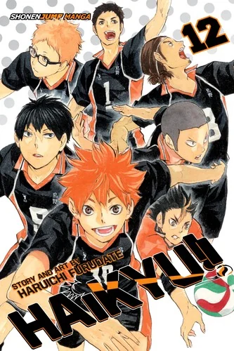 Haikyu!!, Vol. 12: The Tournament Begins! — Sports Comics