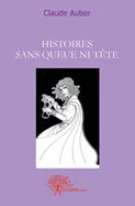 Histoires sans queue ni tete: Nouvelles ou Recueil de Nouvelles.