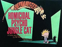Homicidal Psycho Jungle Cat: A Calvin and Hobbes Collection Volume 10 — Humor Comics