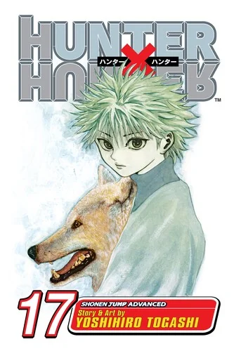 Hunter X Hunter, Vol. 17: A Fierce Three-Way Struggle — Manga