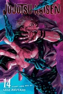 Jujutsu Kaisen, Vol. 14 — Manga