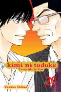 Kimi Ni Todoke: From Me to You, Vol. 20 — Romance Comics