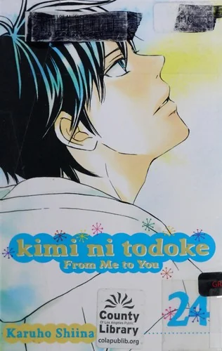 Kimi Ni Todoke: From Me to You, Vol. 24