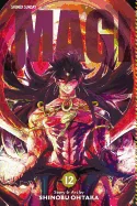 Magi: The Labyrinth of Magic, Vol. 12: The Labyrinth of Magic — Manga