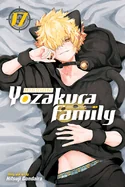 Mission: Yozakura Family, Vol. 17 — Manga
