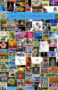 My Comic Memory Book: Classic Keepsake Memory Book/Photo Album for all occasions