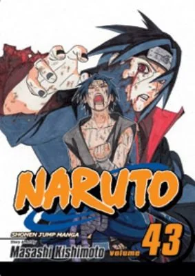 Naruto, Vol. 43 — Manga