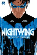 Nightwing Vol.1: Leaping Into the Light — Superhero Comics