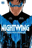 Nightwing Vol. 1: Leaping Into the Light — Superhero Comics