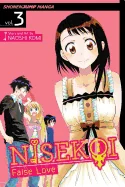 Nisekoi: False Love, Vol. 3: What's in a Name?