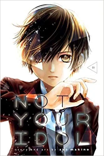 Not Your Idol, Vol. 1 — Manga