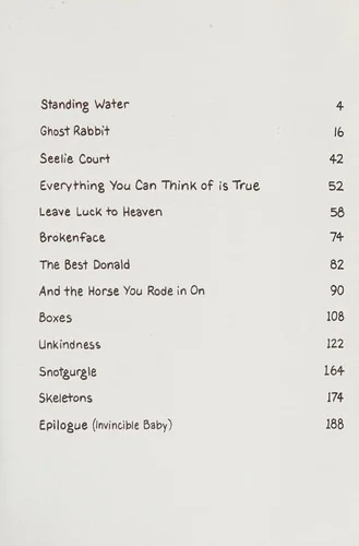 Other Stories and the Horse You Rode in on