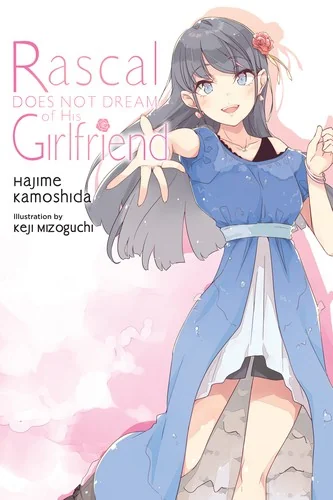Rascal Does Not Dream of His Girlfriend (Light Novel): Volume 14