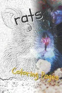 Rat Coloring Pages: Beautiful Rats Drawings for Kids and for Adults Relaxation — Graphic Novels