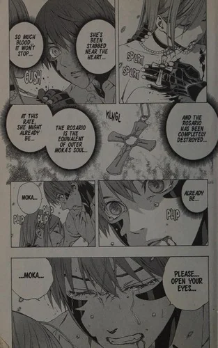 Rosario+vampire: Season II, Vol. 14: Transfusion