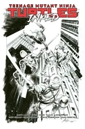 Teenage Mutant Ninja Turtles, Vol. 1: Return to New York--Inked Deluxe Edition