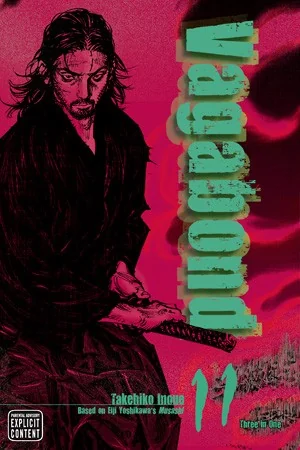 Vagabond (Vizbig Edition), Vol. 11