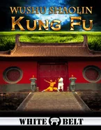 Wushu Shaolin Kung Fu: White Belt — Action Comics